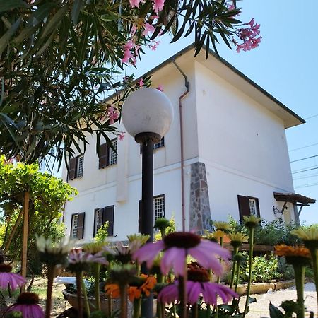 La Domus Di Cosa Bed and Breakfast Ansedónia Eksteriør billede