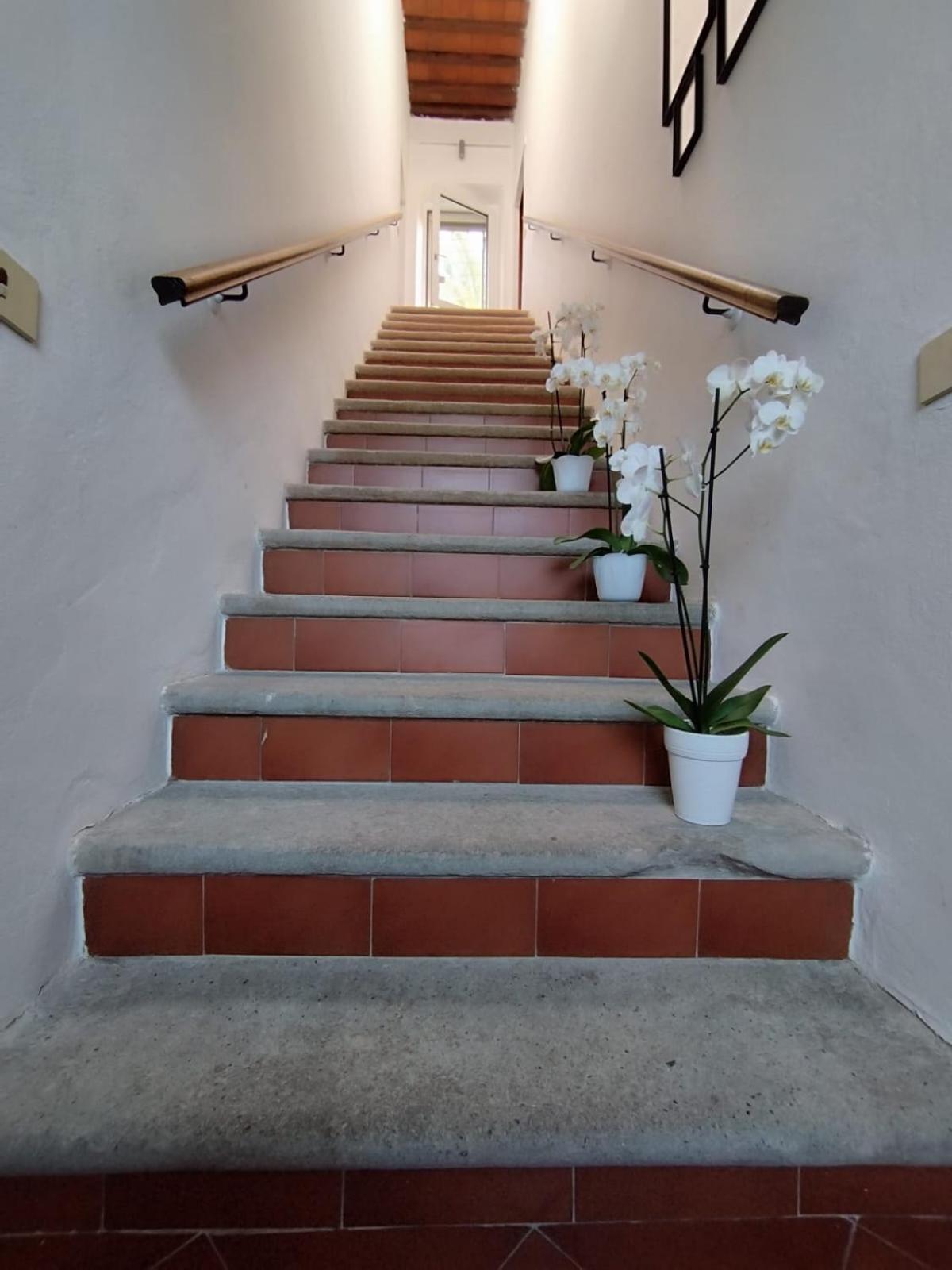 La Domus Di Cosa Bed and Breakfast Ansedónia Eksteriør billede