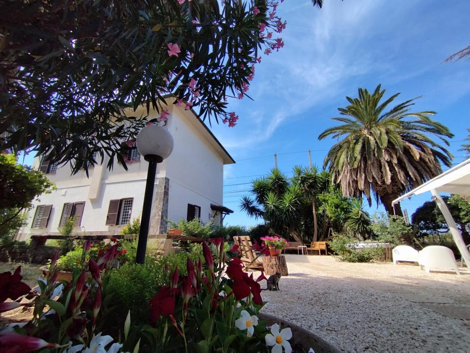 La Domus Di Cosa Bed and Breakfast Ansedónia Eksteriør billede